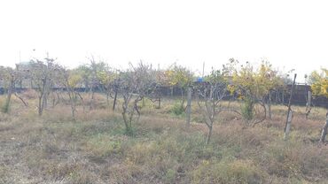 Torpaq sahələrinin satışı: 6 sot, Maklerlər narahat etməsin, Kupça (Çıxarış) — 5