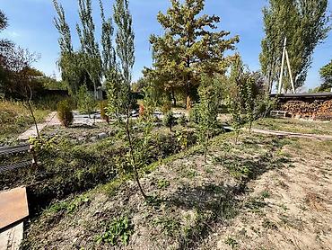 Продажа дач: Продаётся загородный дом у реки Аламедин, с. Таш-Мойнок. Дом — 27