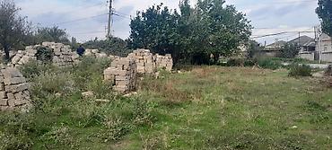agac sekilleri: Kubiklər, Kredit yoxdur — 5
