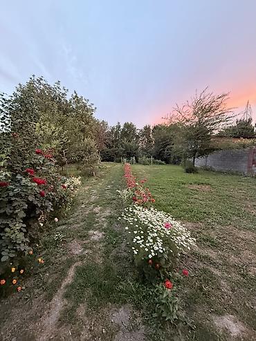 бишкек продаю дом село нижний алаарча: 5 бөлмө, 170 м², 24 соток, Ала-Тоо, Менчик ээси — 5