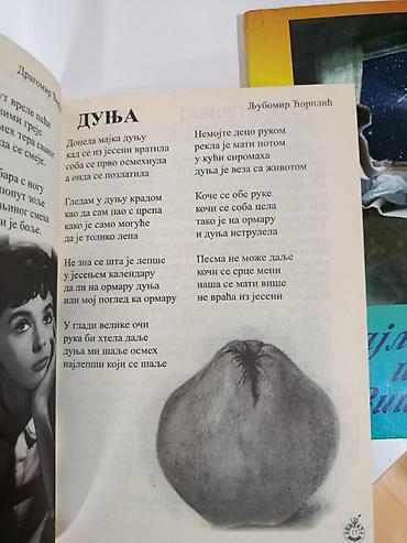 Dečije knjige: Najlepše iz Viteza – 1 i 2 Komplet od dve čitanke/antologije za decu — 13