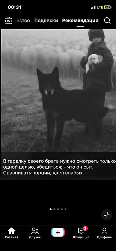 фото транзит: Постер/картина в черно-белых тонах с мотивационной цитатой. Описание — 1