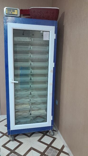 incubator satisi: Inkubator satılır. 1000 yumurtalıq. Zavod istehsalıdır. 80-85% nəticə