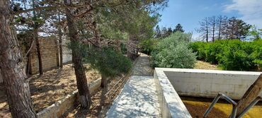 Həyət evləri və villaların satışı: Sahəsi geniş, yaşıllaşdırılmış həyəti olan bina. Həyətdə ağaclar -da lalafo.az — 7 Həyət evləri və villaların satışı: Sahəsi geniş, yaşıllaşdırılmış həyəti olan bina. Həyətdə ağaclar — 7