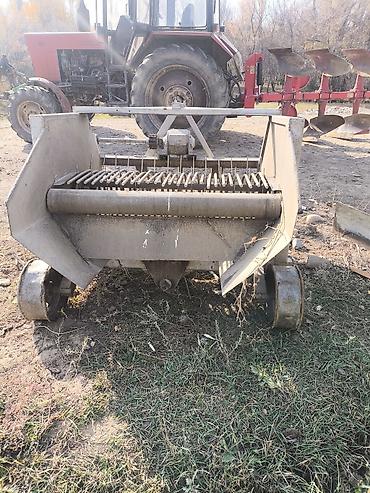 Аренда камнеуборочной машины: Фасоль жулгуч сатылат адрес таласта баасы 280,000 мин сом — 3