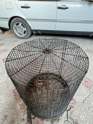 балон для плавания: Защитные сетки от птиц — 3