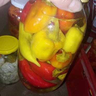 ćebe za decu: Tegla domaće turšije – mešana ukiseljena paprika - Sadržaj: cele — 1
