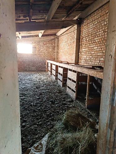 Продажа участков: 120 соток, Для строительства, Красная книга — 24