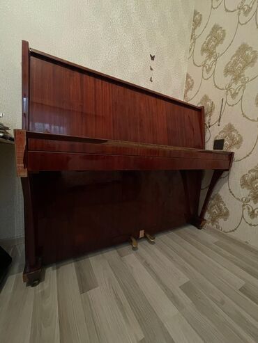 İncəsənət və kolleksiyalar: Piano, Belarus, Akustik