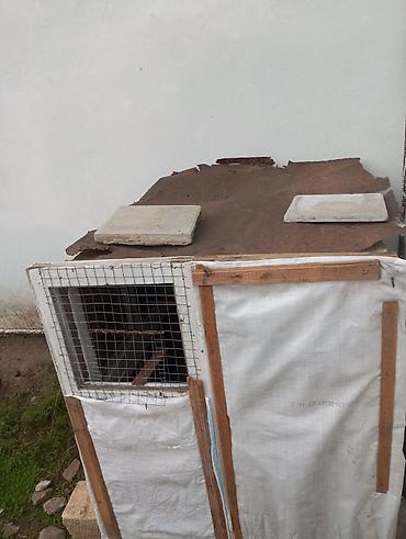 3 toyuq 3 gune: Ev quşları üçün sadə taxta qəfəs/kümes. Xüsusiyyətlər: - Material — 1