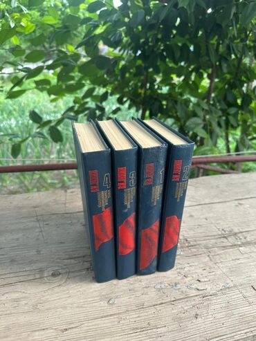 Художественная литература: Классика, На русском языке — 14