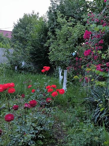 Продажа домов: Дом, 1441 м², 12 комнат, Собственник at lalafo.kg — 35 Продажа домов: Дом, 1441 м², 12 комнат, Собственник — 35