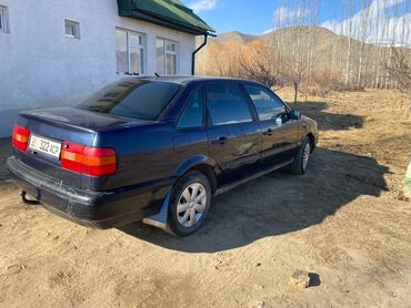 Volkswagen: Volkswagen Passat: 1996 г., 2 л, Механика, Бензин, Седан