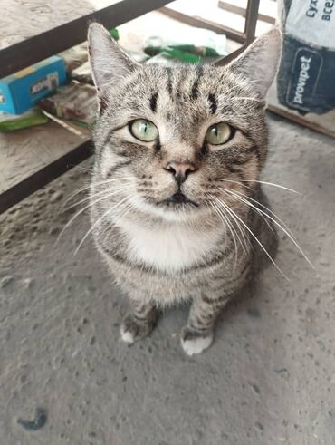 как найти работу онлайн без опыта: Ищу работу любой пишите или звоните 24/7 Ватсапп