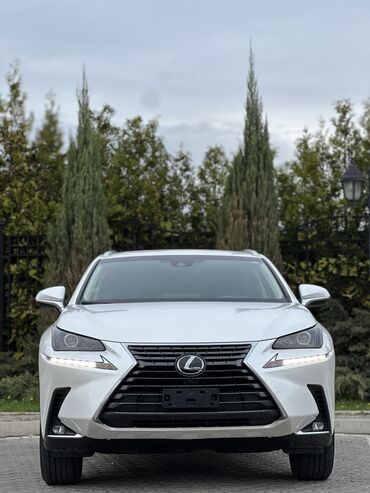 Продажа авто: Lexus NX: 2019 г., 2 л, Бензин