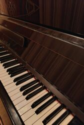 Pianolar: Piano, Akustik — 9