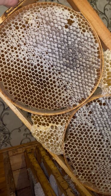 meşə balı: 100% Tam Təbii bal. Endirim: İlk defe alanlara 10% endirim. 4kq lalafo.az -da meşə balı: 100% Tam Təbii bal. Endirim: İlk defe alanlara 10% endirim. 4kq