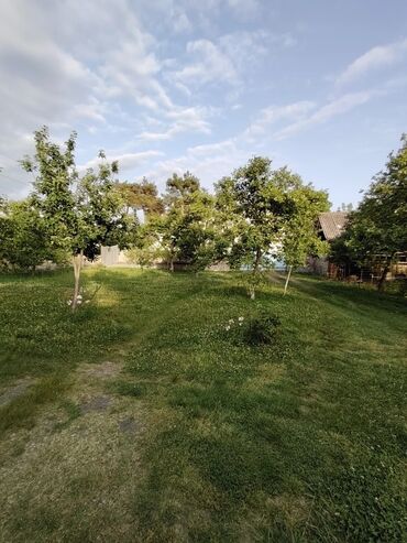 Bağ evlərinin satışı: Zaqatala, 110 kv. m, 4 otaqlı, Hovuzsuz, Artezian quyusu -da lalafo.az — 6 Bağ evlərinin satışı: Zaqatala, 110 kv. m, 4 otaqlı, Hovuzsuz, Artezian quyusu — 6