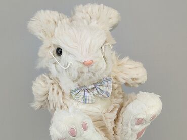 Mascots: Mascot Rabbit, condition - Good