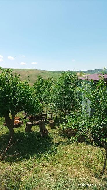 imislidə ev satilir: Şamaxı rayonu Mədrəsə qəsəbəsində gözəl sakit qarşısı dağlara açılan — 6