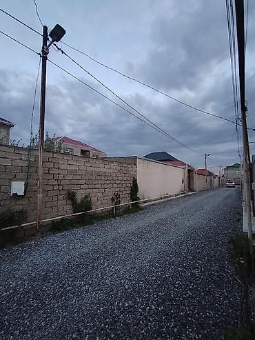 quba evlər günlük: Qaz, işıq, su, wifi daxil, xazeinsiz, 250 azn cüzi endirim olunacaq — 10