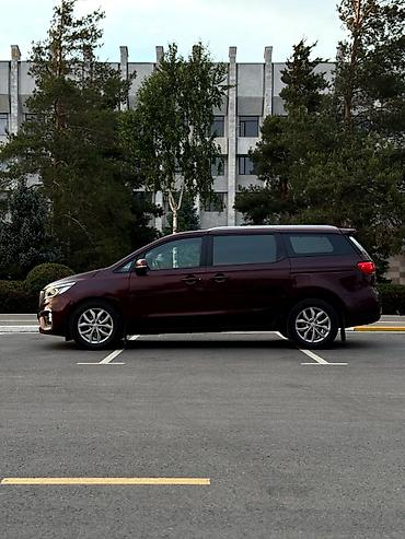 i vtec: Kia Carnival: 2019 г., 3.3 л, Автомат, Бензин, Минивэн — 3