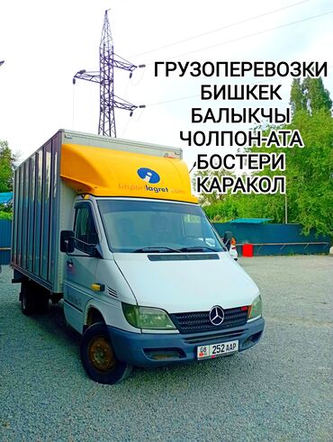 набор инструментов электрика: Porter, Көчүү, эмеректерди көчүрүү, Регион боюнча, Шаар ичинде, Өлкө боюнча, жүк ташуучу жумушчусу менен