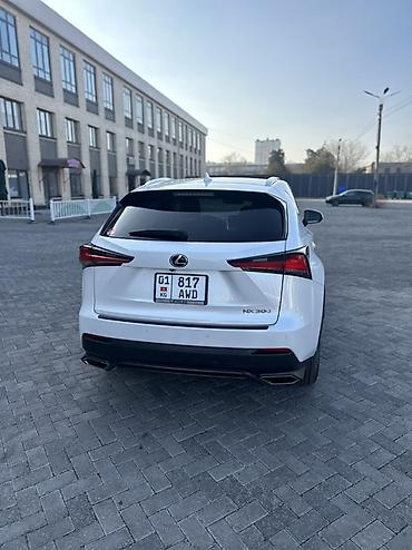 Lexus: Lexus NX: 2020 г., Автомат, Бензин — 6