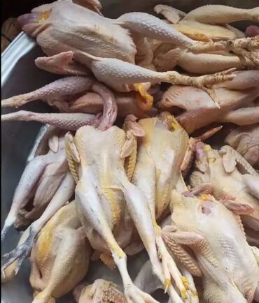 Quş: Məhsul: Təmizlənmiş kənd toyuqları (tam karkas) Təsvir: - Şəkillərdə — 3