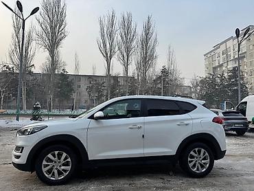 Hyundai: Hyundai Tucson: 2020 г., 2 л, Автомат, Дизель, Кроссовер — 2