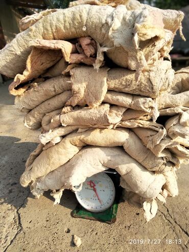 Другие услуги: Скупка старых ватных матрас көрпө төшөк подушки перину вата пахта пух — 3