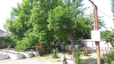 Həyət evləri və villaların satışı: Qiymət sondur. Əla yerləşmə: Heydər Əliyev küçəsi Yalama kəndinin — 4