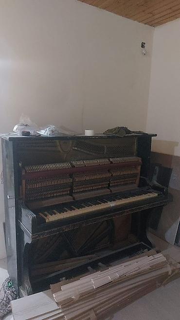 avanti piano: 1740 ci ilin piamlsu Upright piano – klassik akustik model - Tip — 1