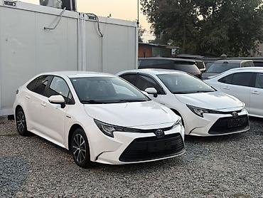 на легаси в4: Toyota Corolla: 2022 г., Вариатор, Гибрид, Седан — 1