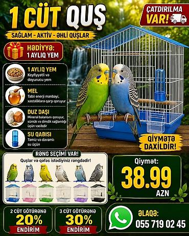 ev quslarinin satisi: 1 cüt dalğalı tutuquşu – sağlam, aktiv, əhli. Daxildir: - Qəfəs (bir — 1