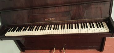 Akkordeonlar: Piano, Petrof, Akustik