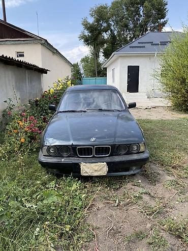 жили машина: BMW 5 series: 1995 г., Седан — 2