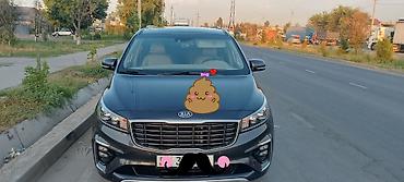 выбор номера о: Kia Carnival: 2019 г., 2.2 л, Автомат, Дизель, Минивэн — 2