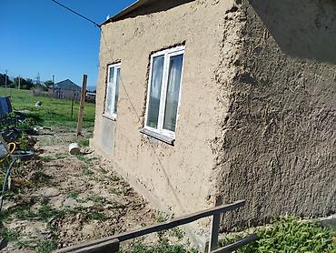 дом с участком: 3 комнаты, 55 м², 6 соток, Ивановка, Собственник — 3