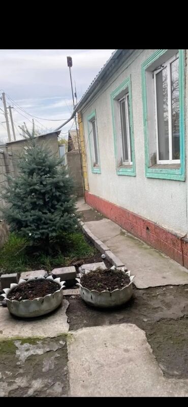 аренда дома за городом: 70 м², 3 комнаты, Парковка, Сарай, Забор, огорожен