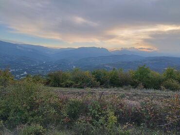 аренда продажа недвижимости: 20 sot, Kənd təsərrüfatı, Kupça (Çıxarış)