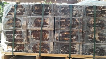 Kafel və metlax: Kafel və bəzək plitələri – geniş çeşid - Formlar: altıbucaqlı mozaika — 17