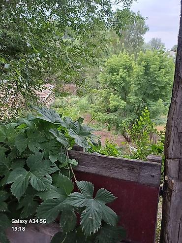 Продажа коттеджей и домов: Одноэтажный дом с хозяйственным двором и вспомогательными постройками — 30