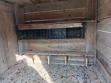yarasa yuvasi: Taxta göyərçin yuvası/peykan - Material: qalın taxta lövhələrdən — 2