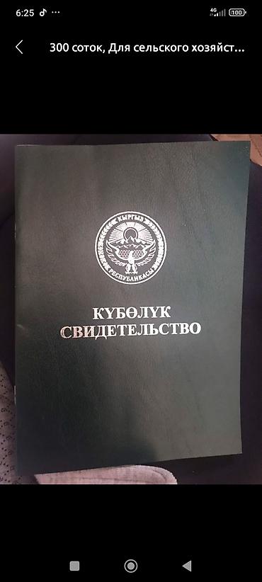 Жер тилкелери: 5 соток, Айыл чарба үчүн — 2