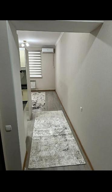 Продажа квартир: 1 комната, 23 м², Индивидуалка, 2 этаж, Евроремонт — 3