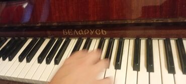 саксофон музыкальный инструмент: Pianena ( Belarus) satılır əla vəziyyətdədi təzə kimidi 90 cı