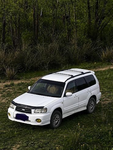 форестер продажа: Subaru Forester: 2004 г., Автомат, Бензин, Кроссовер — 1
