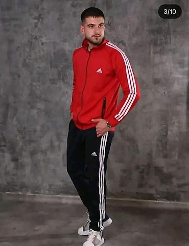 push up sorc: Komplet trenerka mokra likra. Dostupne velicine L XL XXL 3XL 4XL 5XL — 2