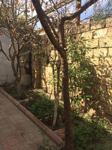 Həyət evləri və villaların satışı: 3 otaqlı, 65 kv. m, Orta təmir — 24
